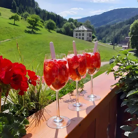 Blaesihof Apartment *