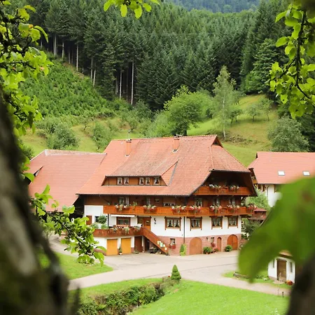 Διαμέρισμα Blaesihof Oberharmersbach
